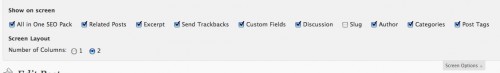 WordPress 3.1 screen options